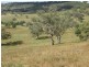 Coolah NSW 2843