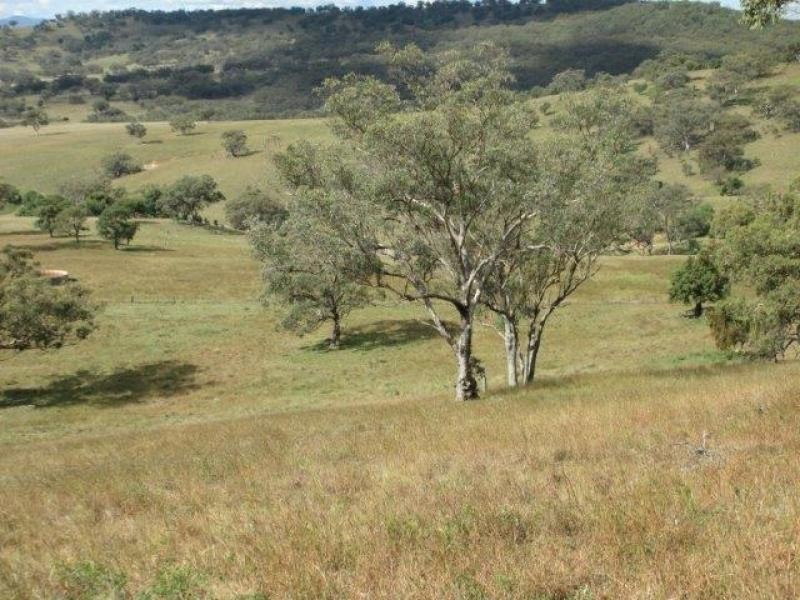 Coolah NSW 2843