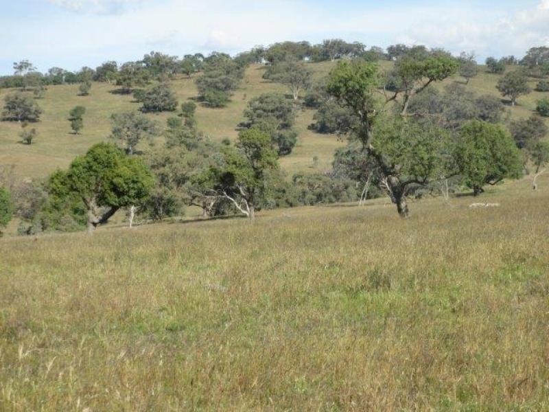 Coolah NSW 2843