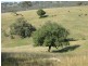 Coolah NSW 2843