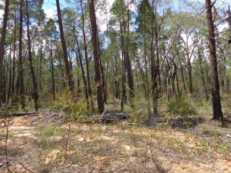 Lot 4 Premer Road, Coolah NSW 2843