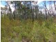 Lot 4 Premer Road, Coolah NSW 2843