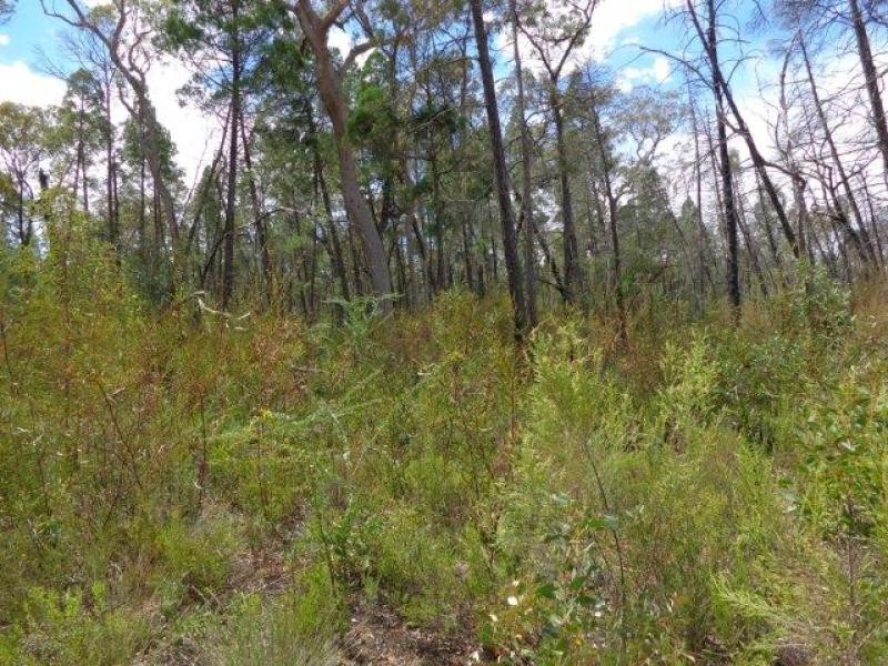 Lot 4 Premer Road, Coolah NSW 2843