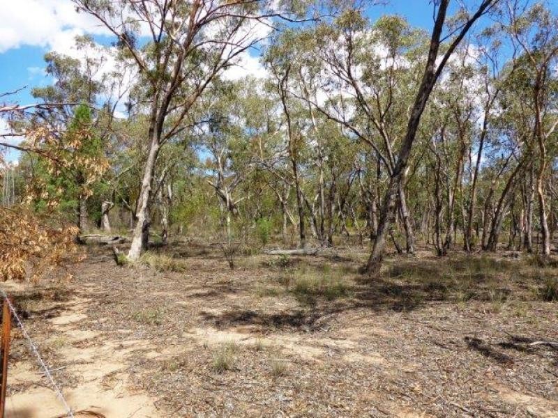 1657 Gamble Creek Road, Weetaliba NSW 2395