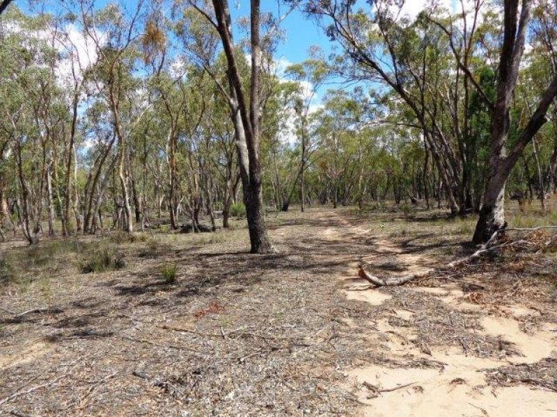 1657 Gamble Creek Road, Weetaliba NSW 2395