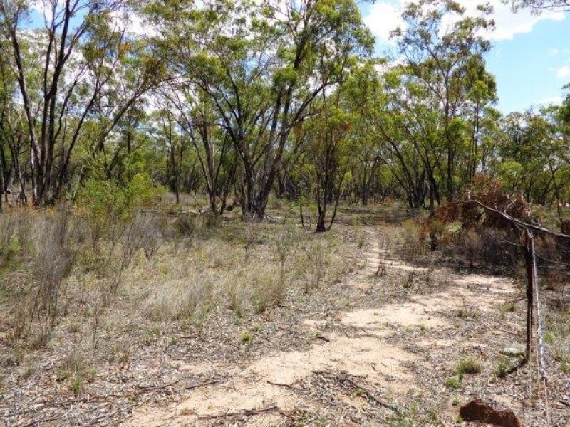 1657 Gamble Creek Road, Weetaliba NSW 2395
