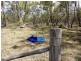1657 Gamble Creek Road, Weetaliba NSW 2395
