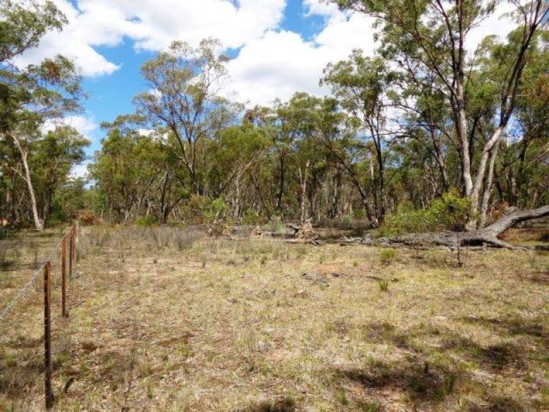 1657 Gamble Creek Road, Weetaliba NSW 2395