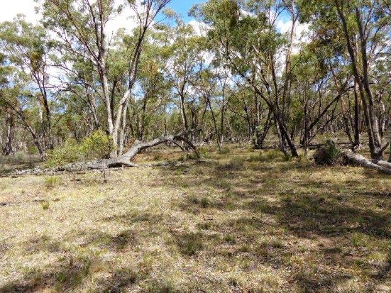 1657 Gamble Creek Road, Weetaliba NSW 2395