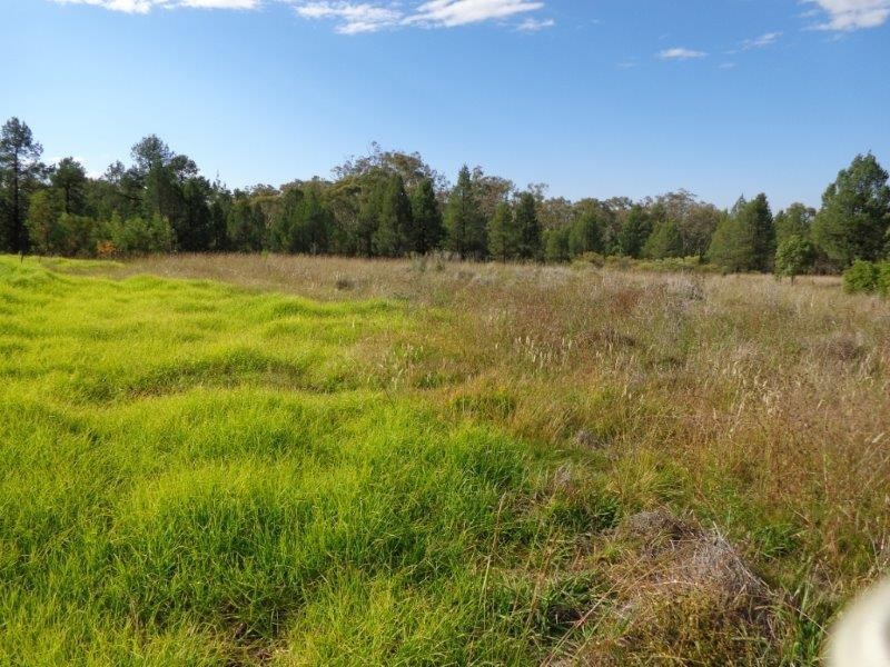 Tambar Springs NSW 2381