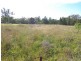 Tambar Springs NSW 2381