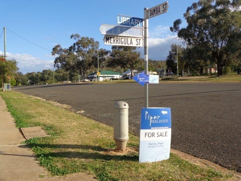 Tambar Springs NSW 2381