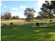Lot 2 Mt Hope Road, Coolah NSW 2843