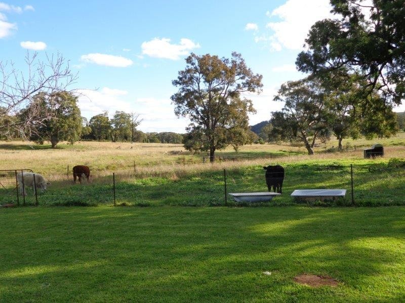 Lot 2 Mt Hope Road, Coolah NSW 2843