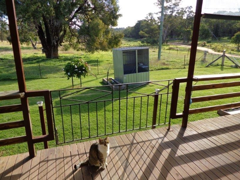 Lot 2 Mt Hope Road, Coolah NSW 2843