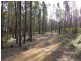 Lot 2 Mt Hope Road, Coolah NSW 2843
