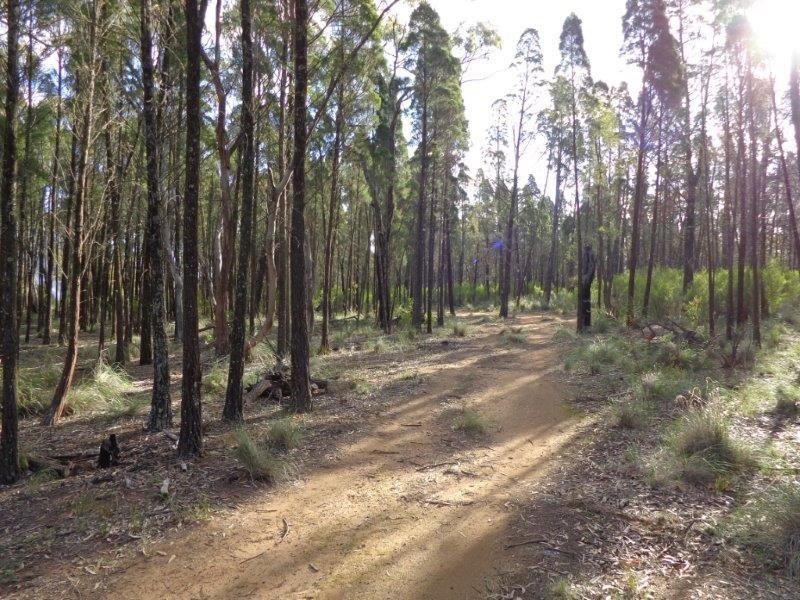 Lot 2 Mt Hope Road, Coolah NSW 2843