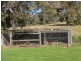 Lot 2 Mt Hope Road, Coolah NSW 2843