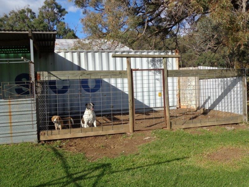 Lot 2 Mt Hope Road, Coolah NSW 2843