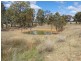 1435 Warrumbungle Way, Coolah NSW 2843