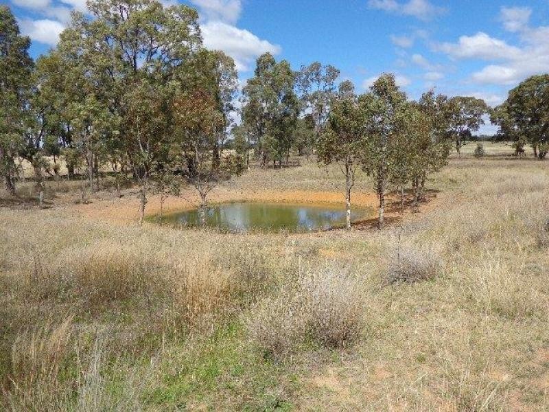 1435 Warrumbungle Way, Coolah NSW 2843