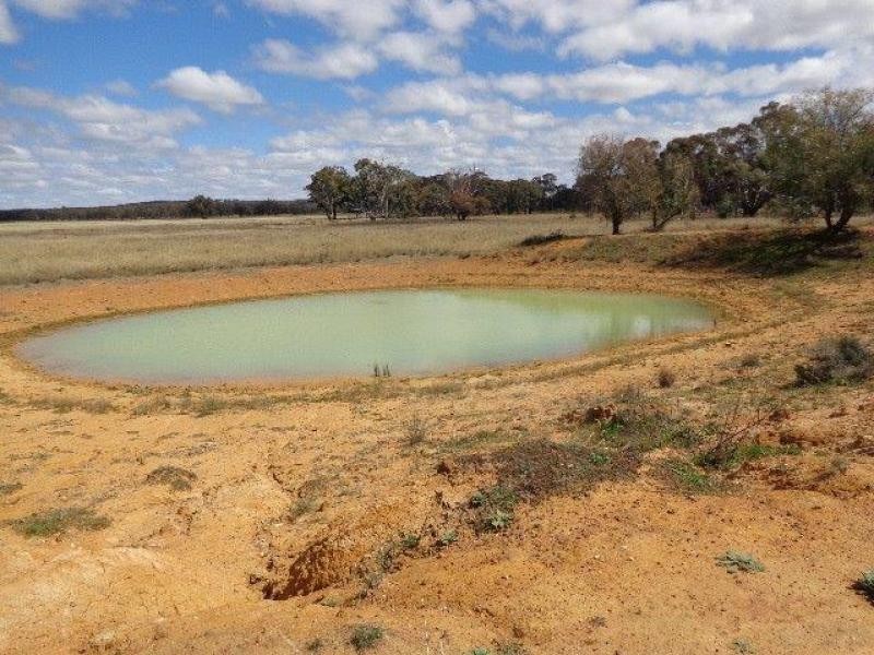 1435 Warrumbungle Way, Coolah NSW 2843