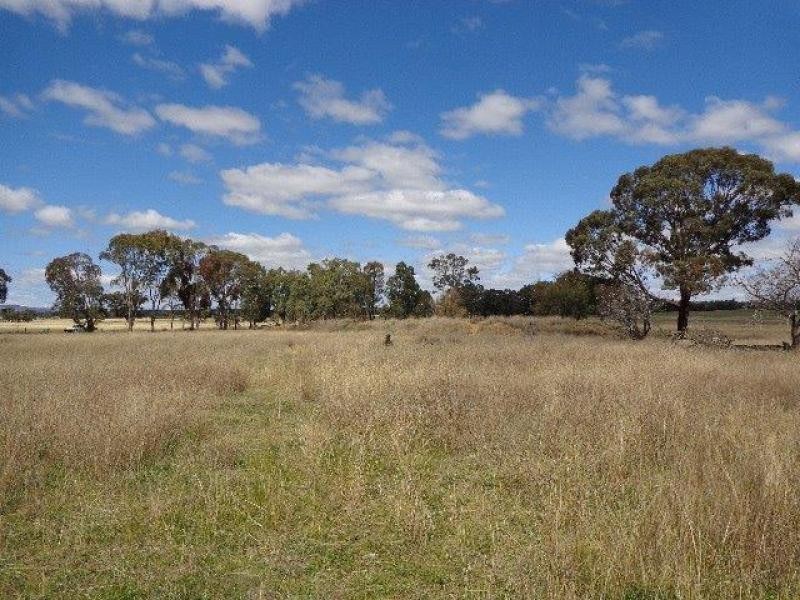 1435 Warrumbungle Way, Coolah NSW 2843