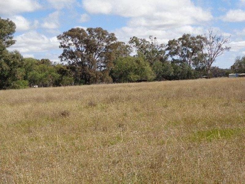 1435 Warrumbungle Way, Coolah NSW 2843