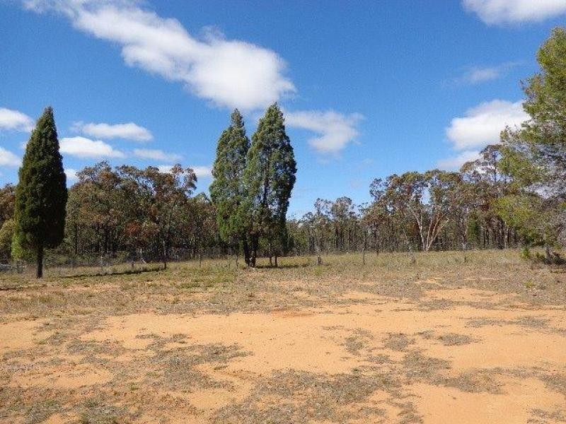 Coonabarabran NSW 2357