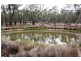 Coolah NSW 2843