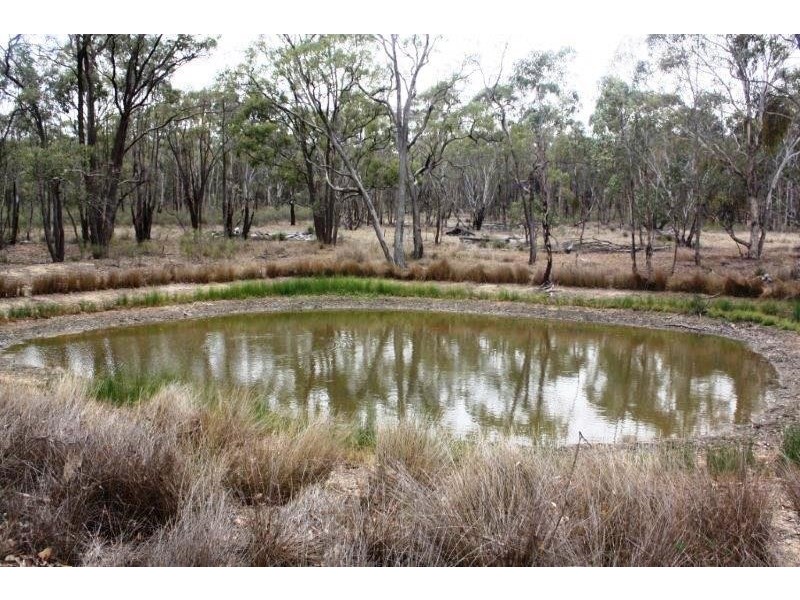 Coolah NSW 2843