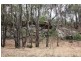 Coolah NSW 2843