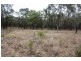 Coolah NSW 2843