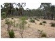 Coolah NSW 2843