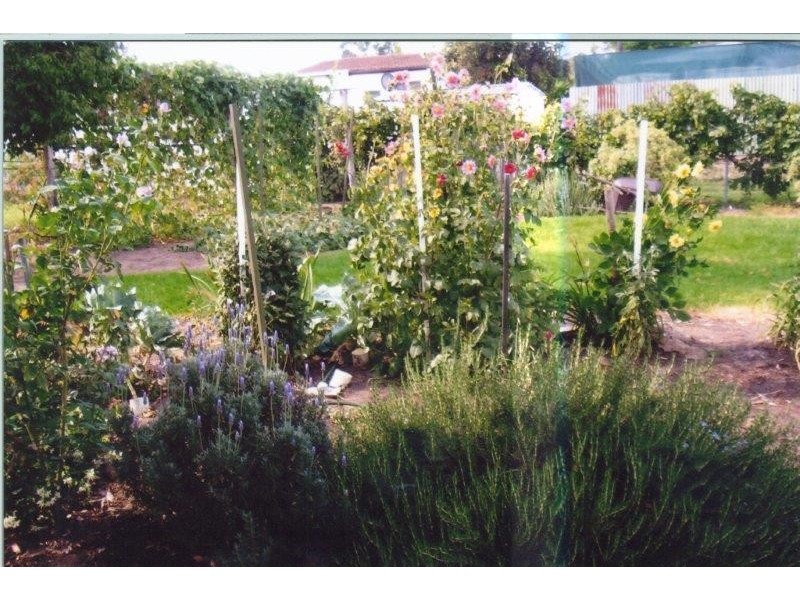 35 Booyamurra Street, Coolah NSW 2843