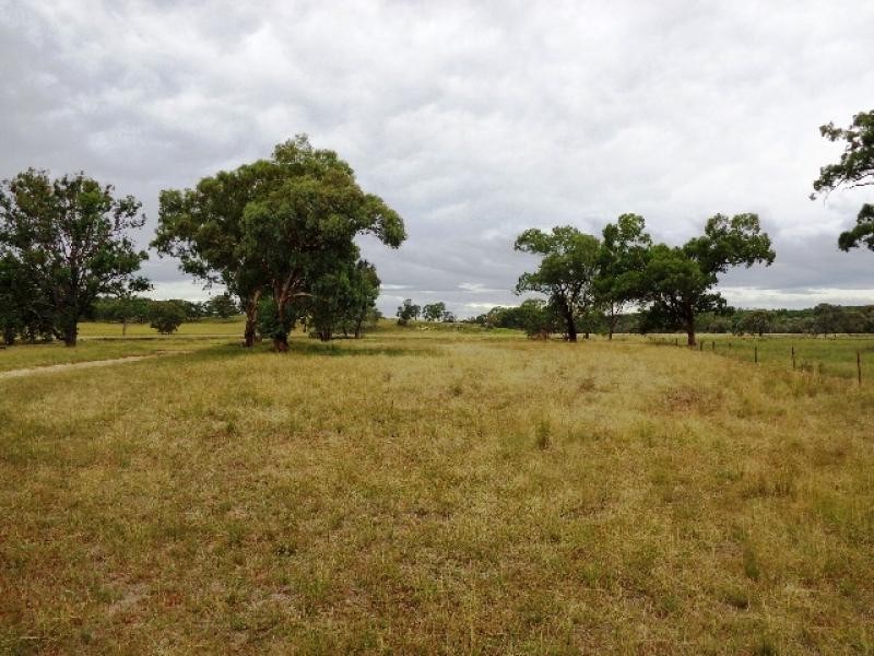 Tambar Springs NSW 2381