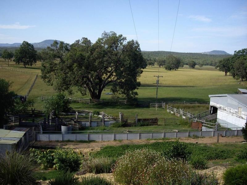 Tambar Springs NSW 2381