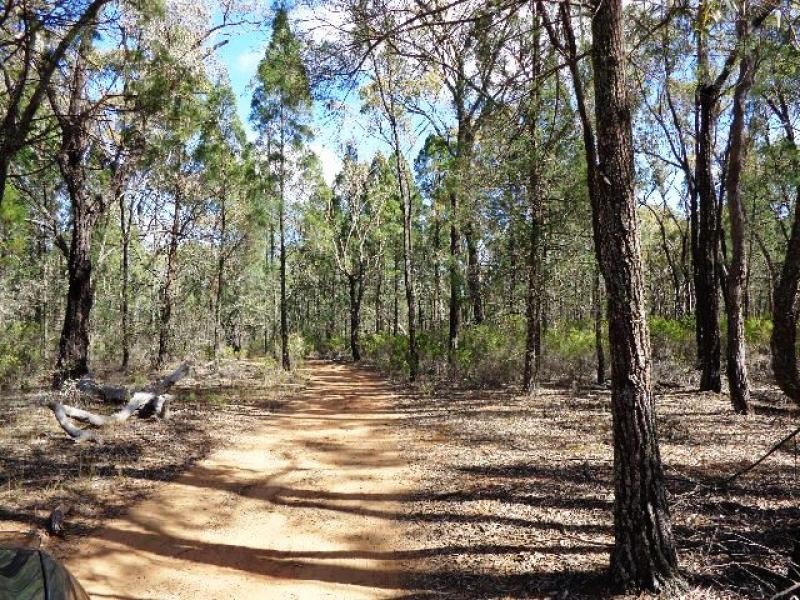 215 Werribee Road, Coolah NSW 2843