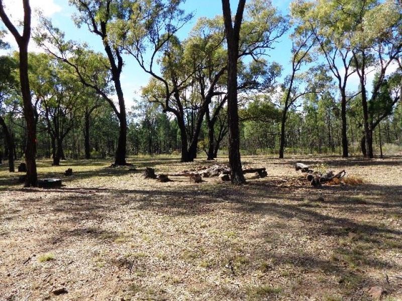 215 Werribee Road, Coolah NSW 2843