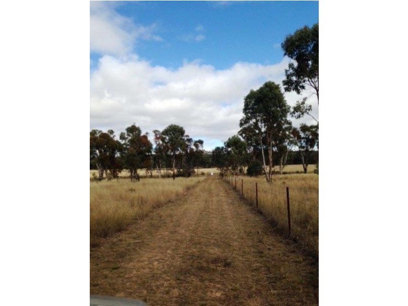 215 Werribee Road, Coolah NSW 2843