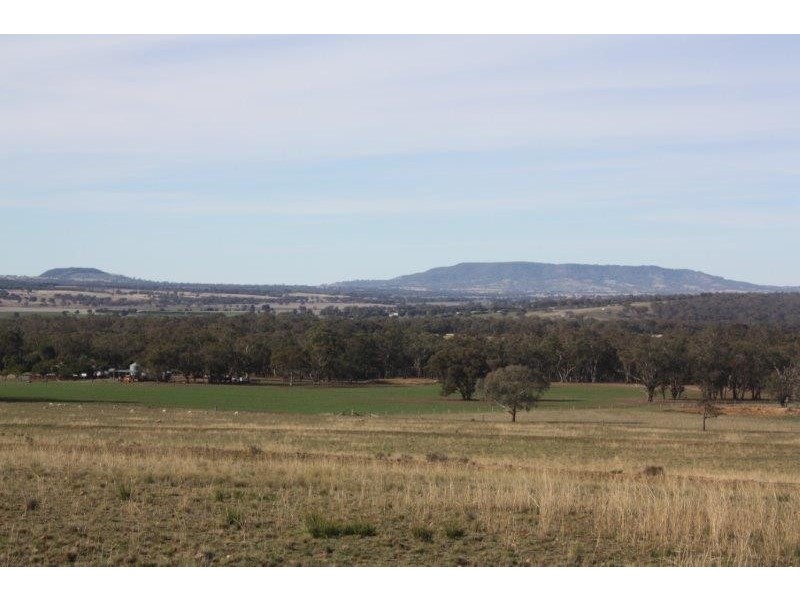 199 Gamble Creek  Road, Coolah NSW 2843
