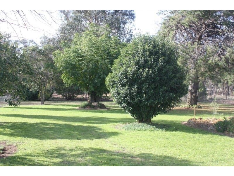 199 Gamble Creek  Road, Coolah NSW 2843