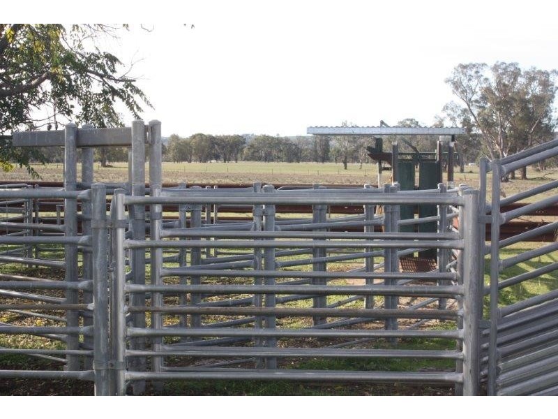 199 Gamble Creek  Road, Coolah NSW 2843