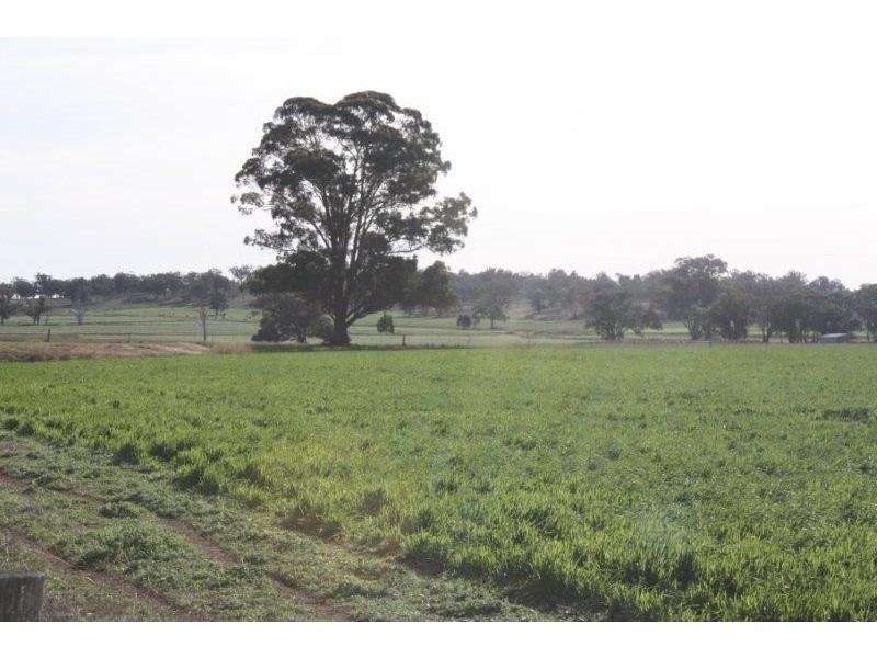 199 Gamble Creek  Road, Coolah NSW 2843