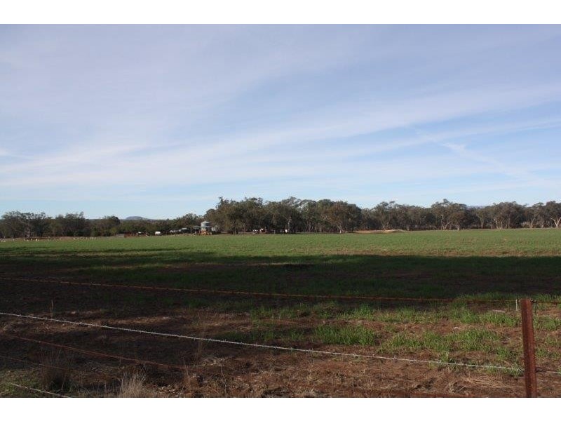 199 Gamble Creek  Road, Coolah NSW 2843