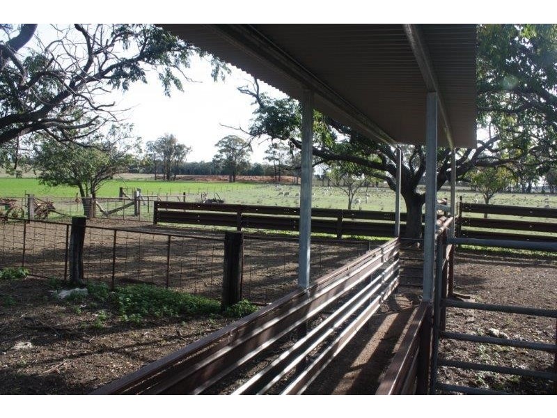 199 Gamble Creek  Road, Coolah NSW 2843