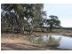 199 Gamble Creek  Road, Coolah NSW 2843