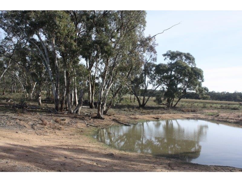 199 Gamble Creek  Road, Coolah NSW 2843