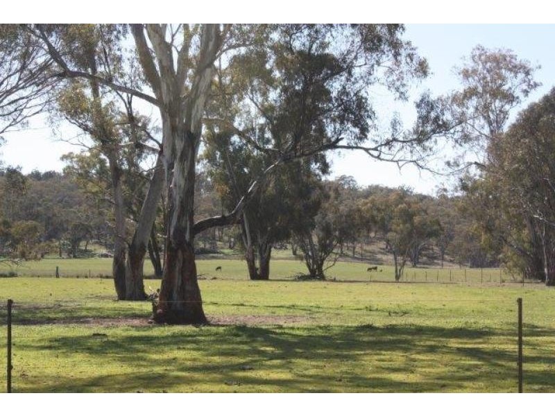 1158 Warrumbungle Way, Coolah NSW 2843