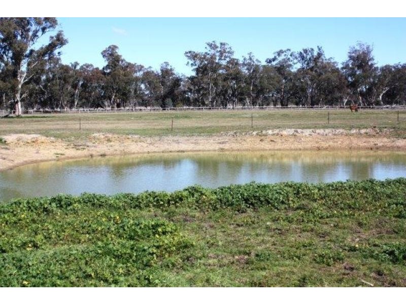 1158 Warrumbungle Way, Coolah NSW 2843